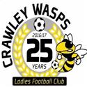 Crawley Wasps (w)