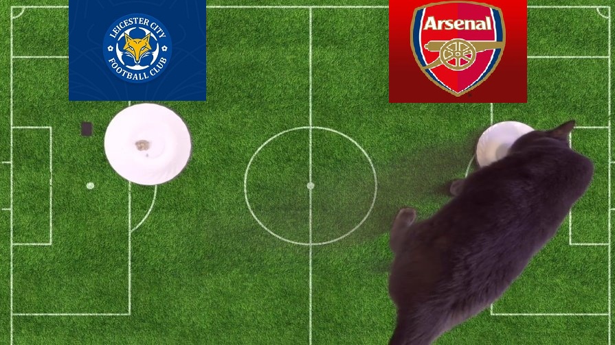 Tiên tri mèo dự đoán Leicester vs Arsenal, 18h30 ngày 30/10 - Ảnh 1