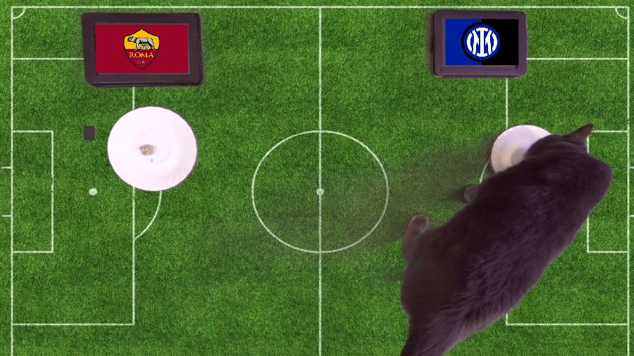 Tiên tri mèo Cass dự đoán Roma vs Inter, 0h ngày 5/12 - Ảnh 1