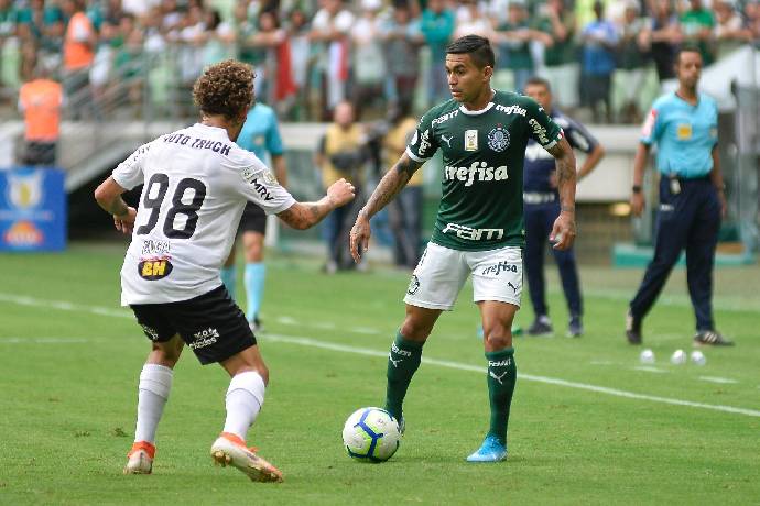 Nhận định, soi kèo Atlético Mineiro vs Palmeiras, 7h30 ngày 4/8