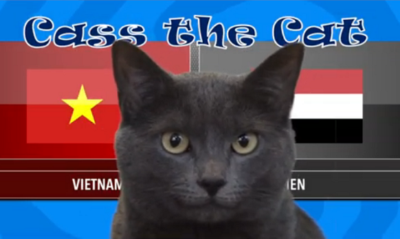 Tiên tri mèo Cass dự đoán Việt Nam vs Yemen, 23h00 ngày 16/1