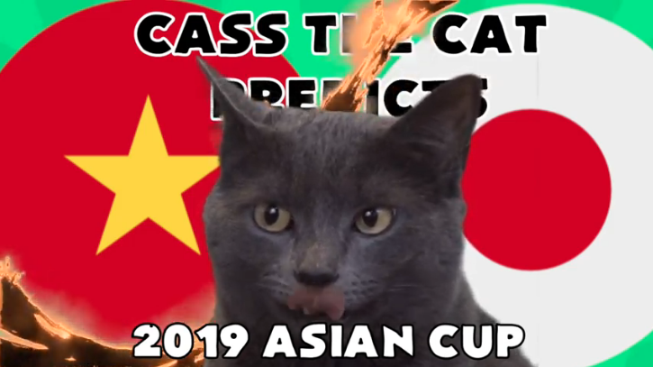 Tiên tri mèo Cass dự đoán Việt Nam vs Nhật Bản, 20h00 ngày 24/1
