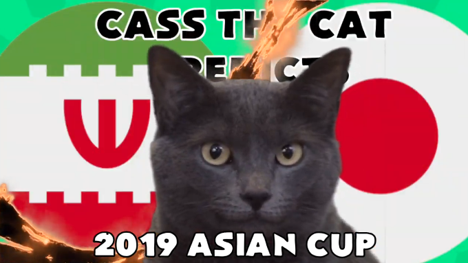 Tiên tri mèo Cass dự đoán Nhật Bản vs Iran (Bán kết Asian Cup 2019)
