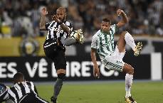 Nhận định, soi kèo Botafogo vs Palmeiras, 6h ngày 4/10