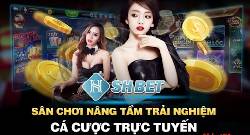 Nhà cái SHBET – Địa chỉ cá cược trực tuyến top đầu tại Việt Nam